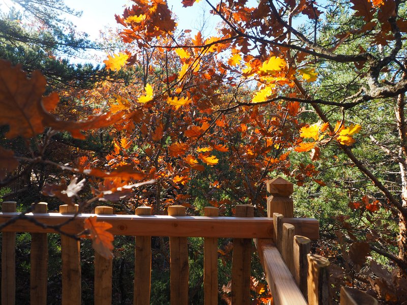 Hébergement AbracadaRoom : L'Épine Vinette & Spa - Image 11