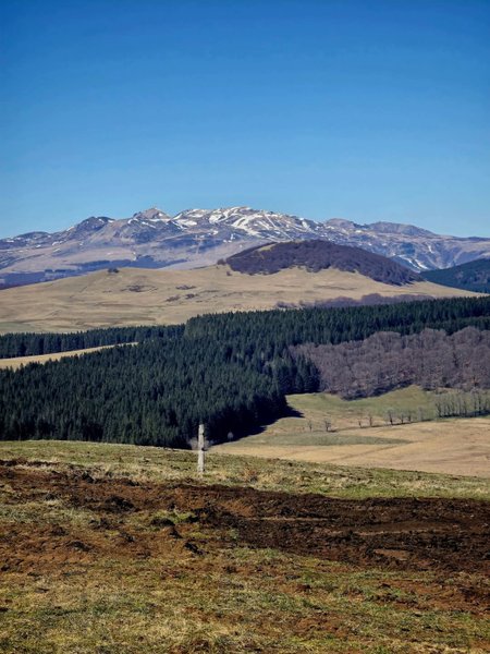 Domaine AbracadaRoom : La roulotte du p'tit Buron - Image 20