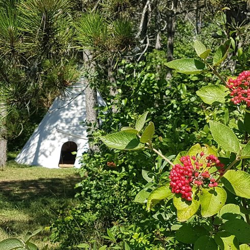 Hébergement AbracadaRoom : Nuitée en Tipi LAKOTA (4 à 6 pers) - Image 1