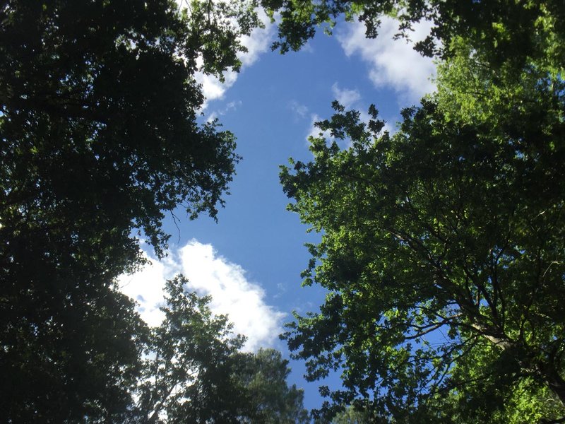 Domaine AbracadaRoom : Les Bulles de Bordeaux - Image 1