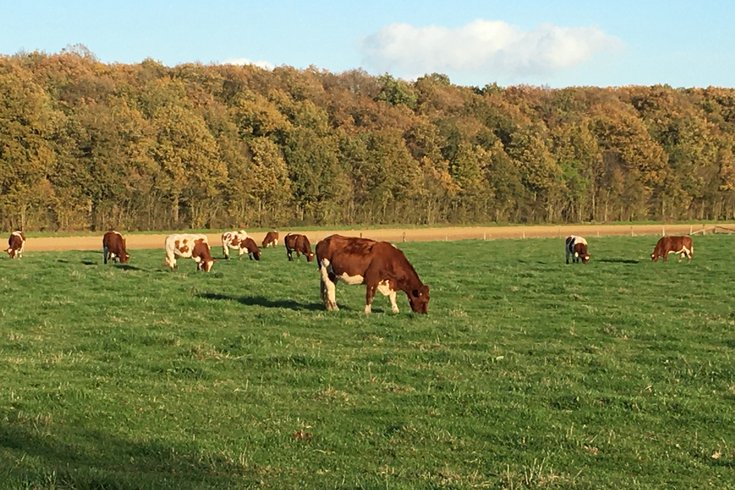 Domaine AbracadaRoom : Au Pré des Alizés - Image 1