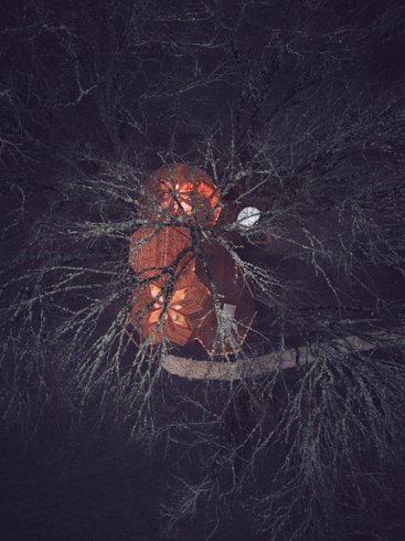 Hébergement AbracadaRoom : Zome Casse-Noisette & Spa - Image 20