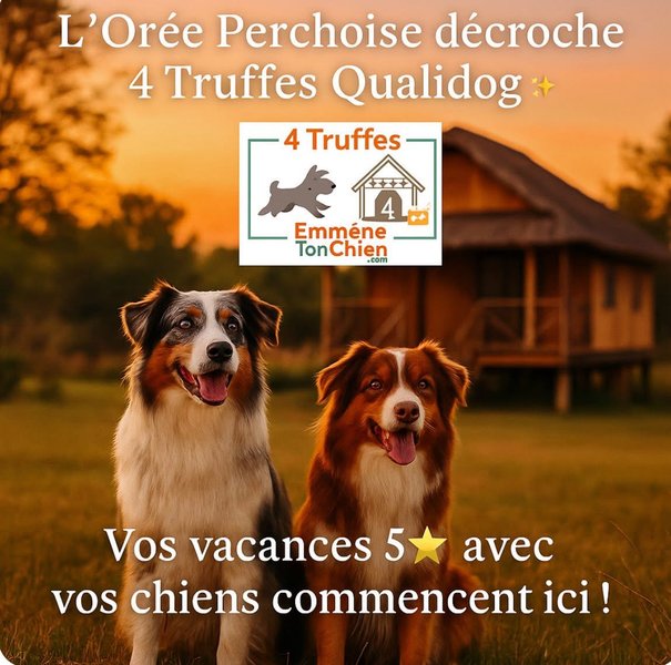Hébergement AbracadaRoom : Tente Lodge de l'Orée Perchoise - Image 17