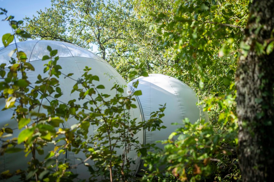 Hébergement AbracadaRoom : Bull'Aphrodite & Spa - Image 25