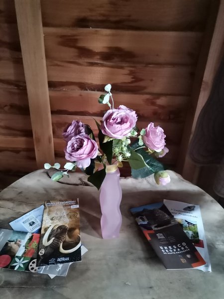 Hébergement AbracadaRoom : La Cabane de Camille - Image 9