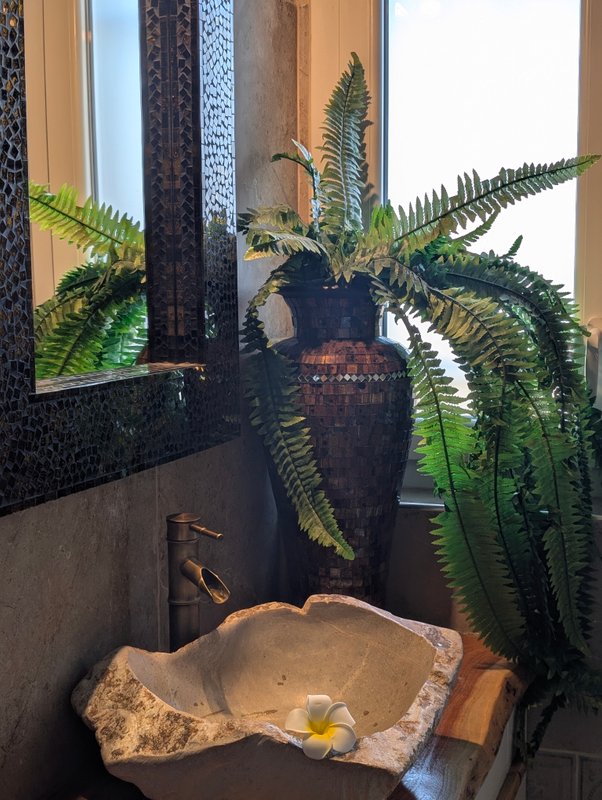 Nuit insolite avec Spa, sauna et jardin privatifs immersion en AMAZONIE à Le Passage D'agen (28)