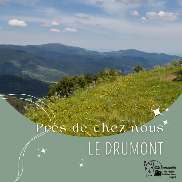 Domaine AbracadaRoom : Gîte Familial Scaravella - Image 28