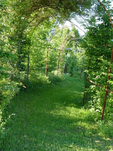 Hébergement AbracadaRoom : La Cabane-Spa des Figuiers - Image 17