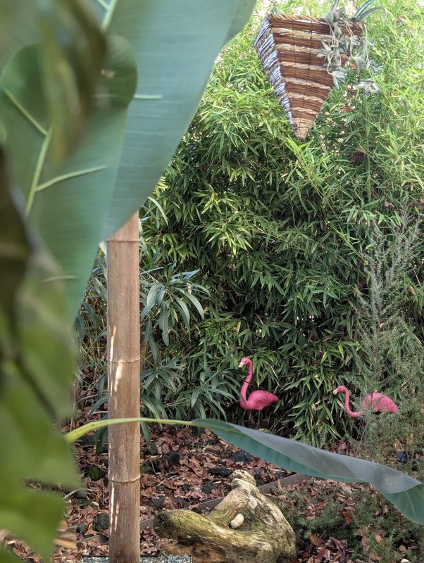 Nuit insolite avec Spa, sauna et jardin privatifs immersion en AMAZONIE à Le Passage D'agen (30)