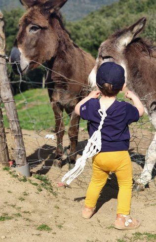 Domaine AbracadaRoom : Mas Saber - Image 17