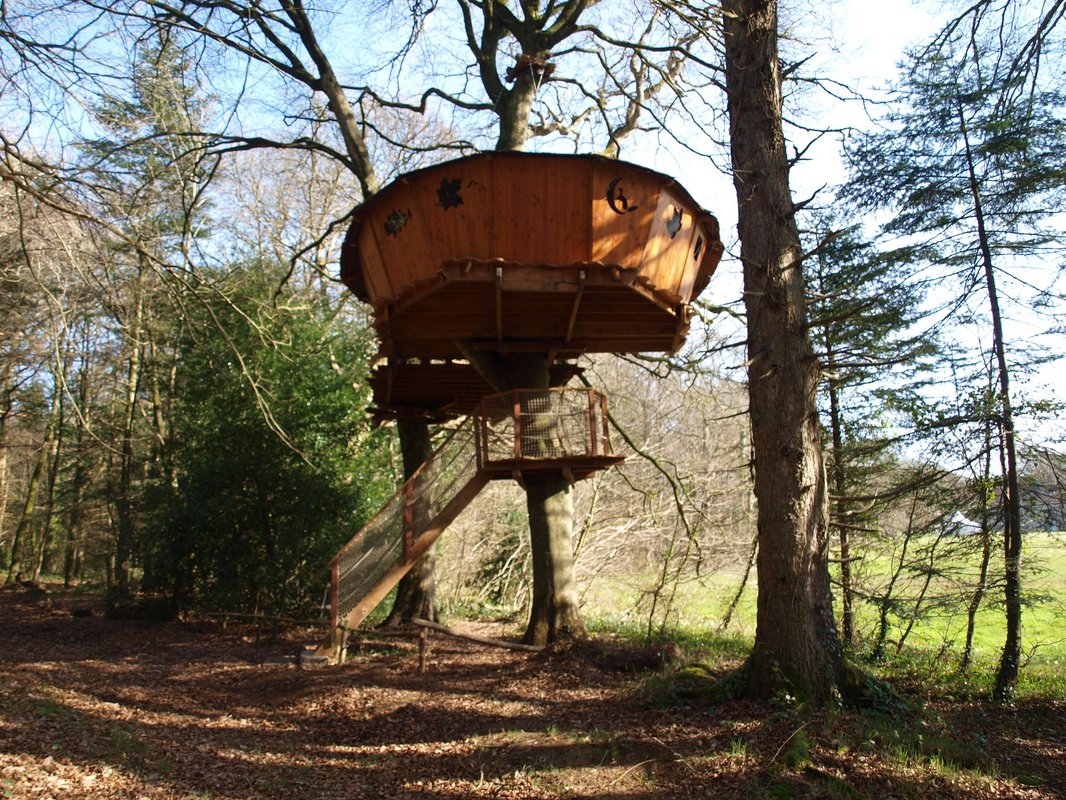 Cabane Jonquille à Cléder (1)