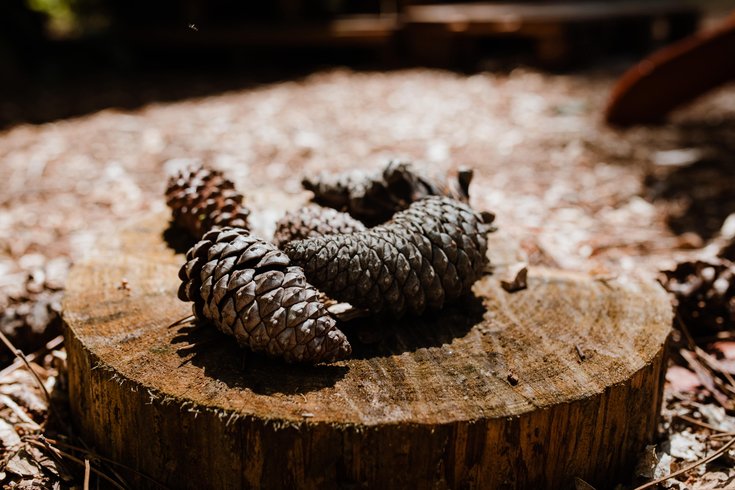 Domaine AbracadaRoom : Tiny Stay Ecolodge - Image 13