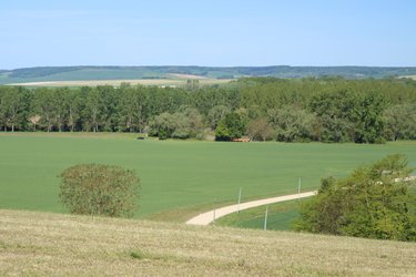 La roulotte de la magicienne à Brienon-Sur-Armançon (2)
