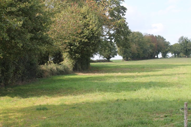 Domaine AbracadaRoom : Nuit à la Belle étoile - Image 8