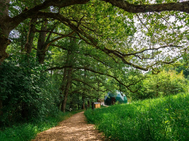 Domaine AbracadaRoom : Bois de Luna - Image 4
