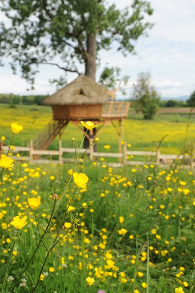 Hébergement AbracadaRoom : La Cabane du Domaine de Suzel - Image 4