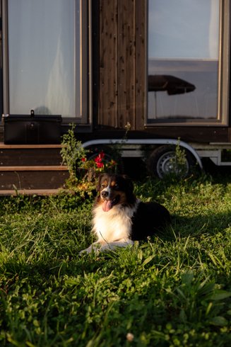 Domaine AbracadaRoom : Parcel Tiny House - dans une ferme proche Paris - Image 13