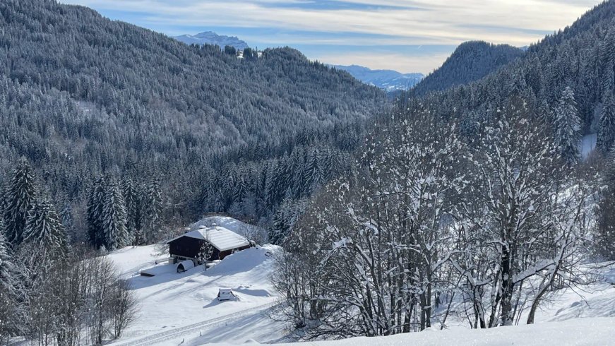 Domaine AbracadaRoom : Chalet d'alpage de Beauregard - Image 2