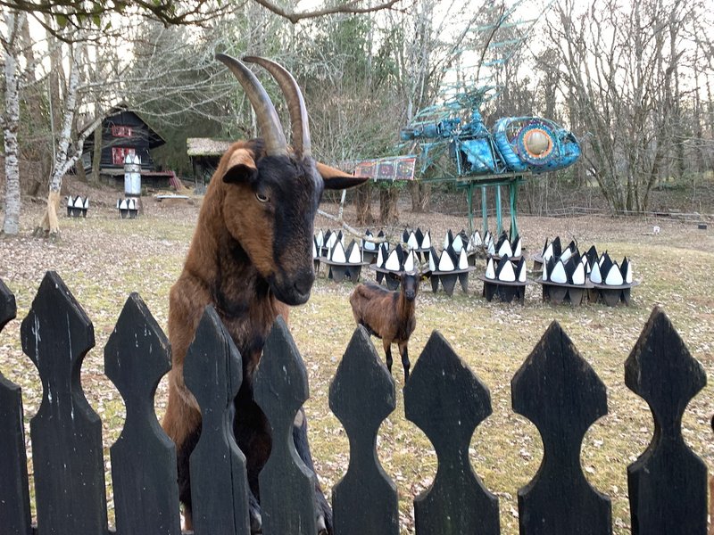 Domaine AbracadaRoom : Gorodka - Image 13