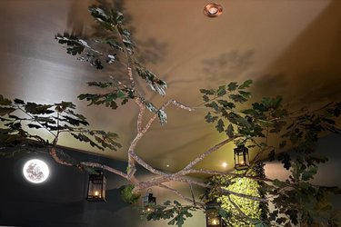 Everwood – Forêt enchantée, balnéo & sauna à Manthelan (3)