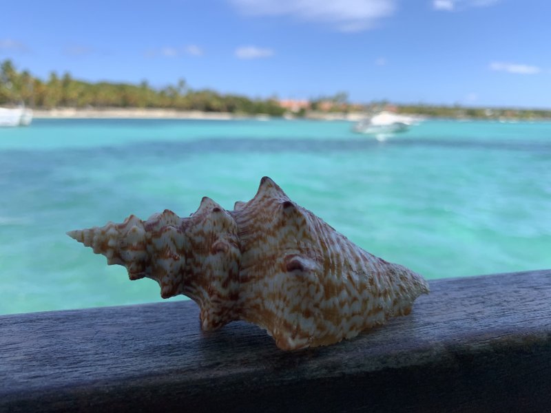 Hébergement AbracadaRoom : Aqua Lodge le Rêve flottant Les Saintes - Image 63