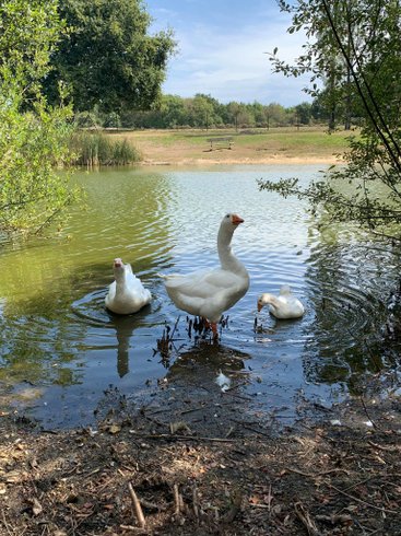 Domaine AbracadaRoom : Camping de l'Étang du Pays Blanc - Image 13