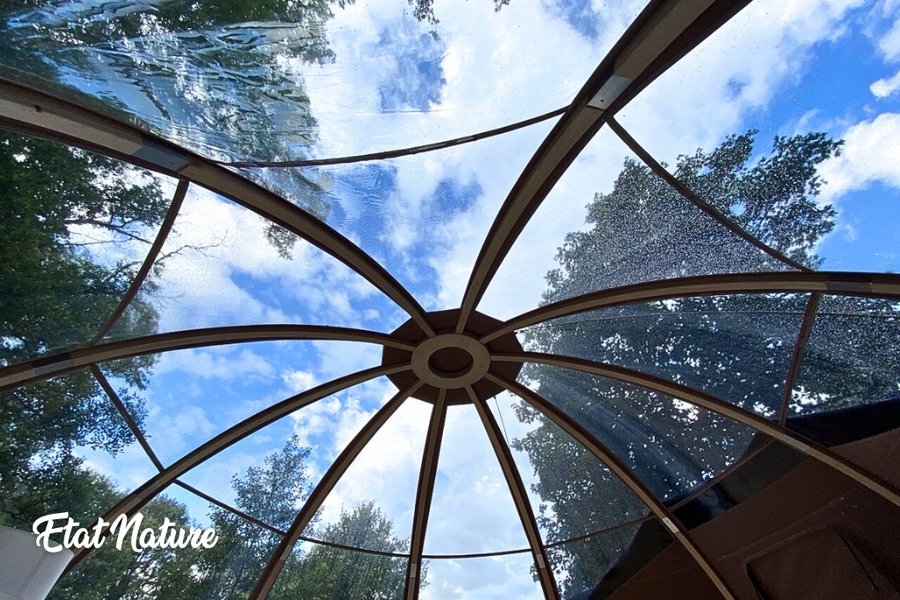 Hébergement AbracadaRoom : La Bulle  forestière Etat Nature - Image 2