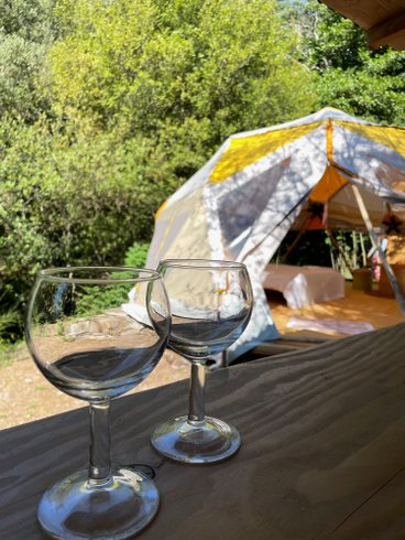 Hébergement AbracadaRoom : Hidden Dome in nature - Image 7