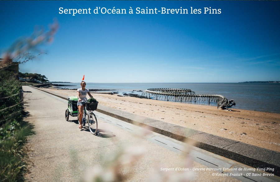 Domaine AbracadaRoom : Terre d'estuaire à Saint Viaud - Image 4