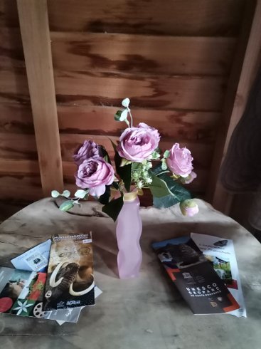 Hébergement AbracadaRoom : La Cabane de Camille - Image 9