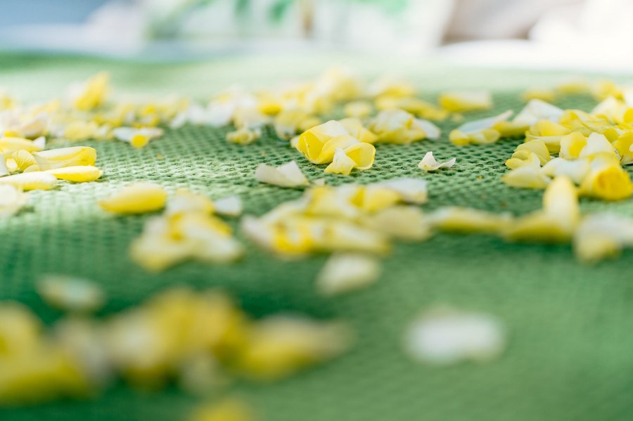 Hébergement AbracadaRoom : Somn'en Bulle - Image 13