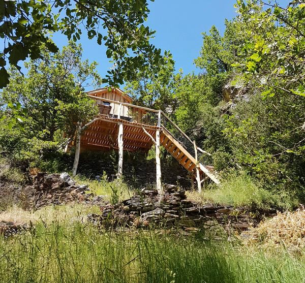 Hébergement AbracadaRoom : Cabane Castor - Image 1