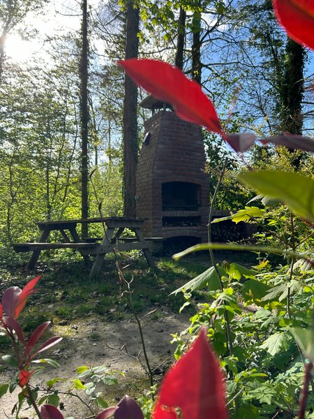 Domaine AbracadaRoom : Le domaine de Wail - Image 29