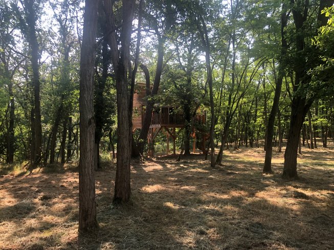 Domaine AbracadaRoom : Le Jardin Des Cabanes - Image 2