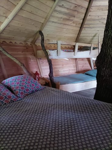 Hébergement AbracadaRoom : Dam'oiseaux - Image 3