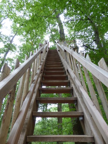 Hébergement AbracadaRoom : Cabane Sauternes - Image 14