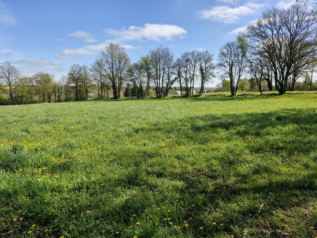 Domaine AbracadaRoom : L'Eko d'Alice - Image 6