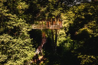 Cabane dans les arbres Territoire de Belfort