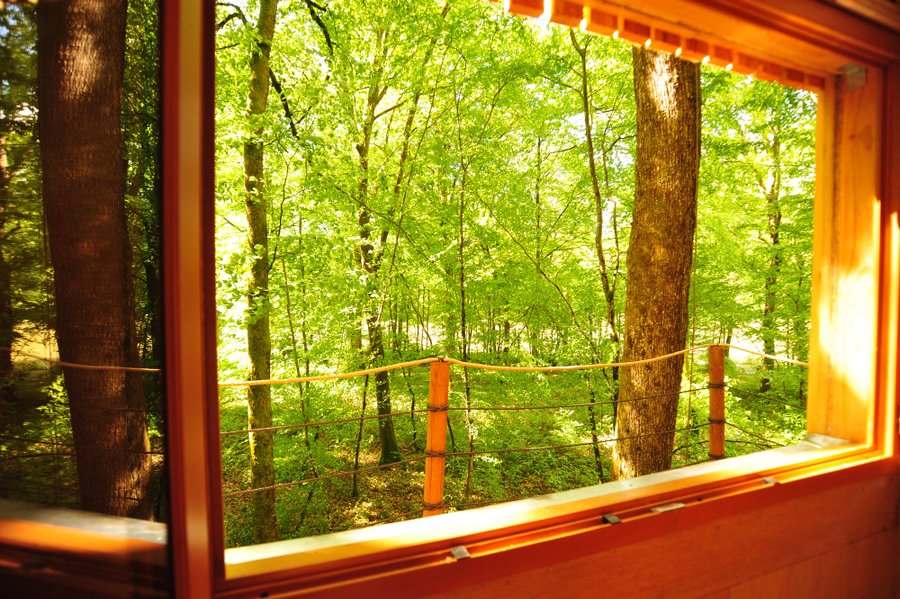 Hébergement AbracadaRoom : La Cabane du Héron - Image 4