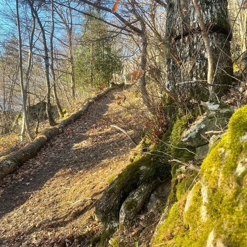 Domaine AbracadaRoom : Le Refuge d'Yzeron - Image 13