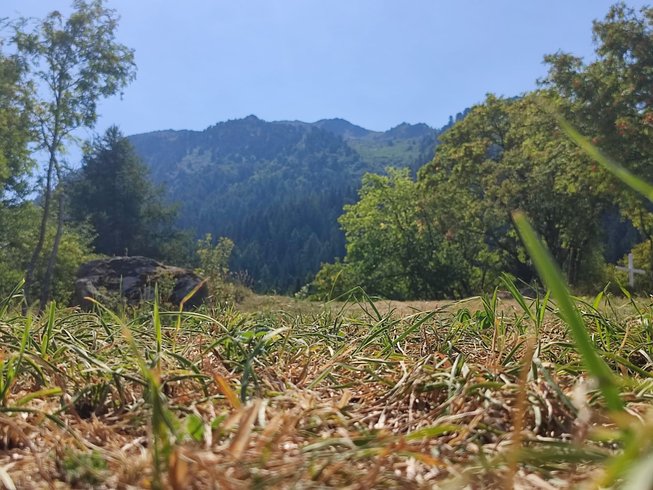 Domaine AbracadaRoom : L'Art 2 Lier - Image 6