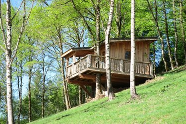 Cabane Tilleul à Singles (2)