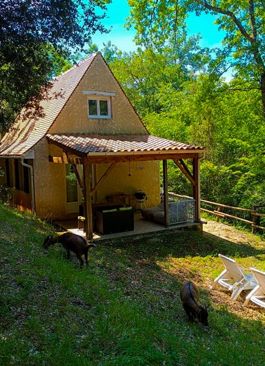 Gîte dans les bois, au coeur du Périgord noir avec étang privé à Saint Andre Allas