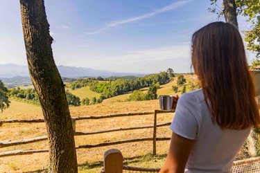Terrasse des Chambarans - Panorama sur le Vercors à Bessins (3)