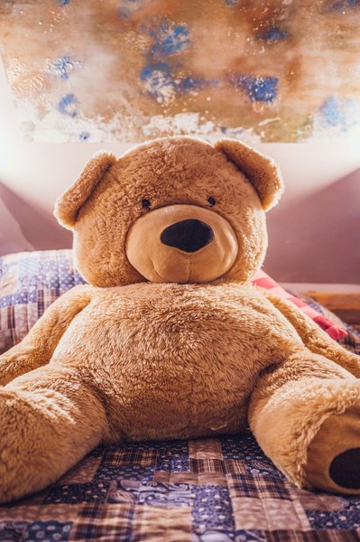 Hébergement AbracadaRoom : La Suite Voltige - Image 19