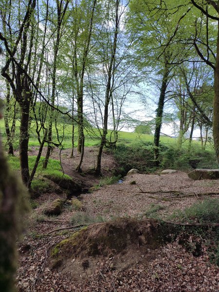 Domaine AbracadaRoom : Le Domaine des Roches' L - Image 3