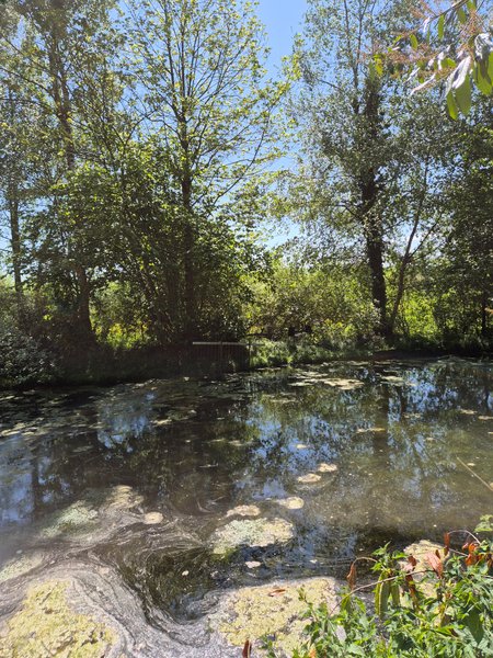 Hébergement AbracadaRoom : Entre ciel et terre - Image 5