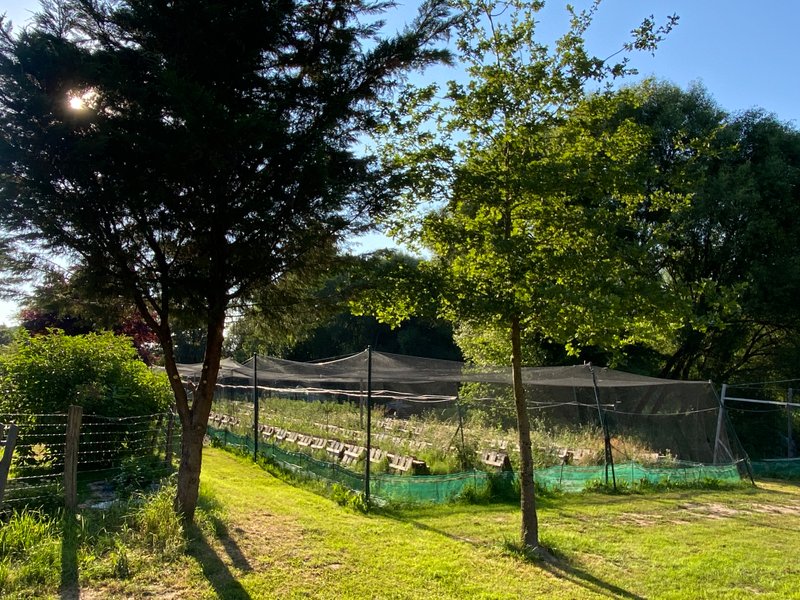 Hébergement AbracadaRoom : L’Escargoterie de la Forge - Immersion Champêtre - Image 47