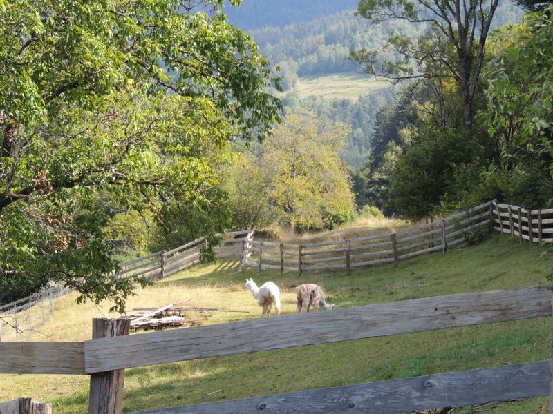 Domaine AbracadaRoom : Gîte Familial Scaravella - Image 1