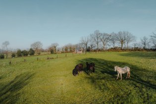 Parcel Tiny House - dans la campagne proche Rennes